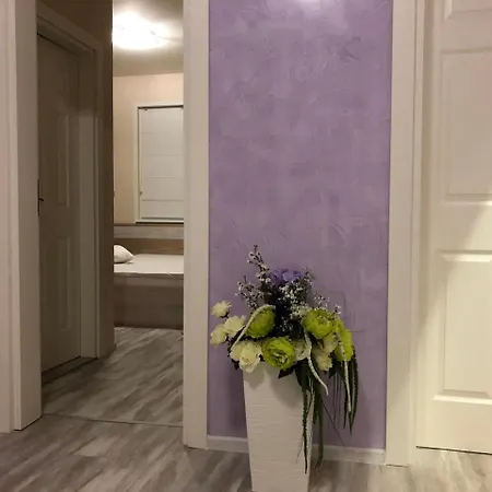 флама резидентс 호텔 *